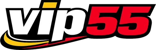 Logo vip55